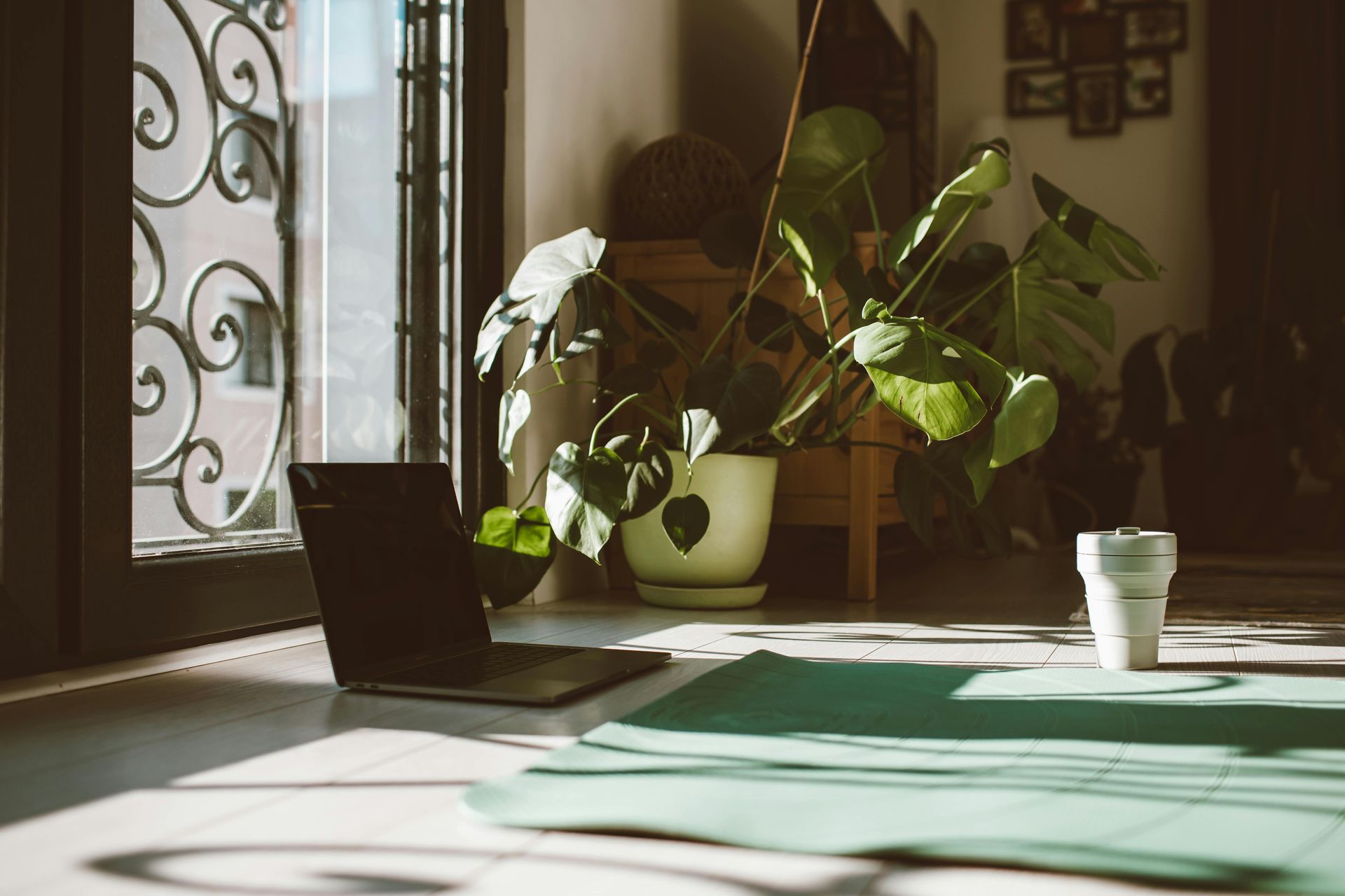 Trending Cozy Flooring Styles for Madison Homes