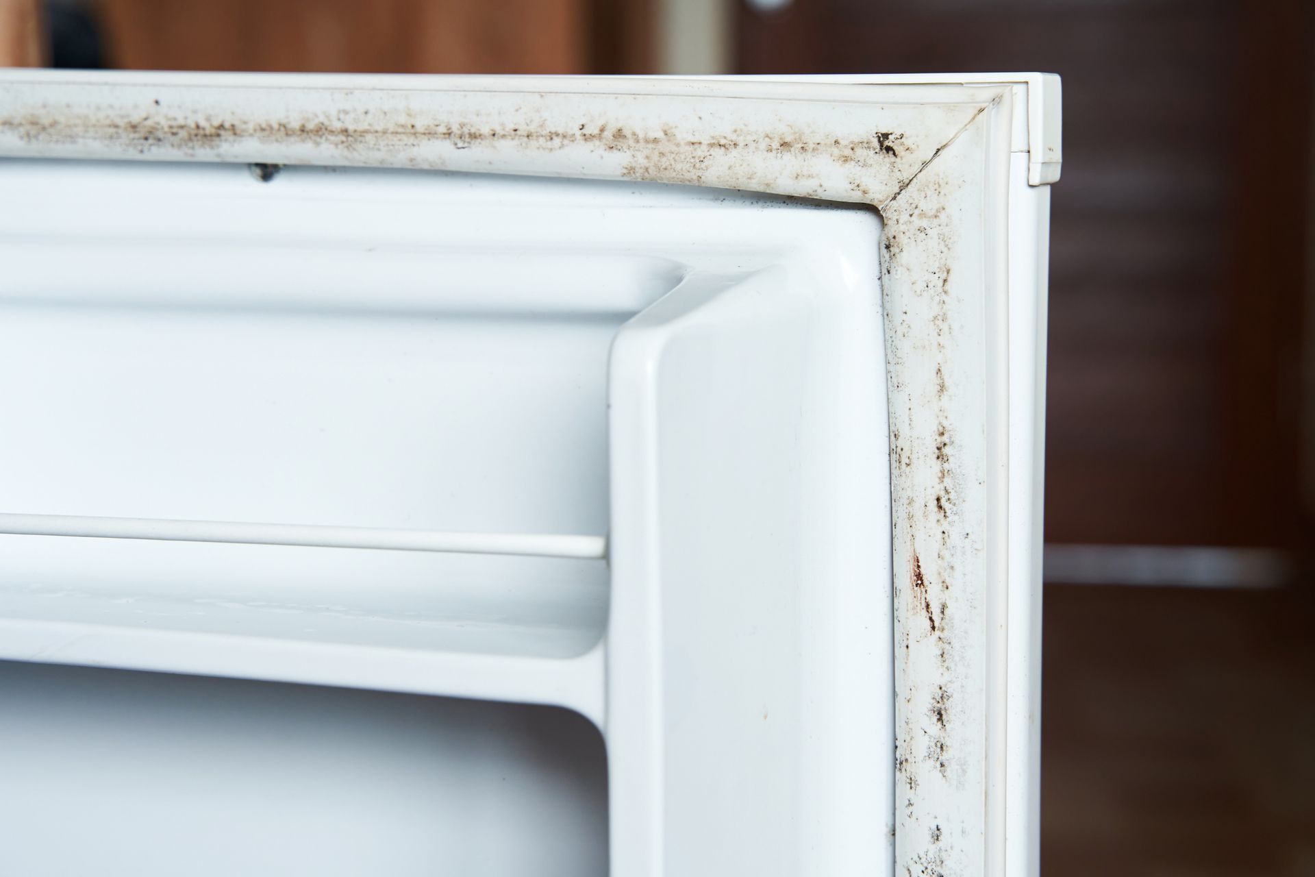 A close up of a refrigerator door with mold on it