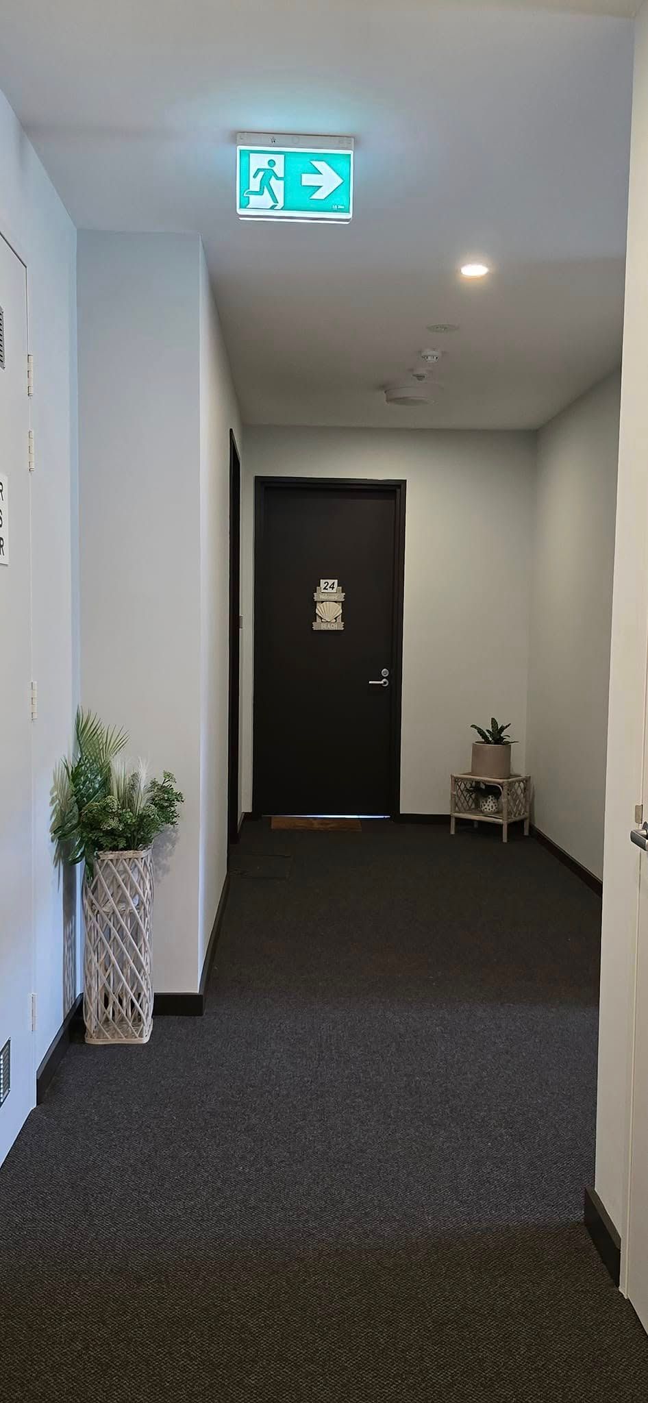 A Room With Windows and a Cart — JAX Painting Services in Central Coast, NSW