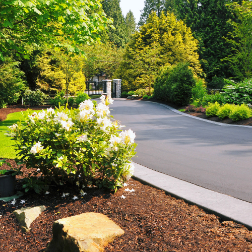 Commercial landscape job
