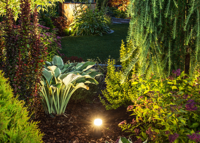 Landscape lighting