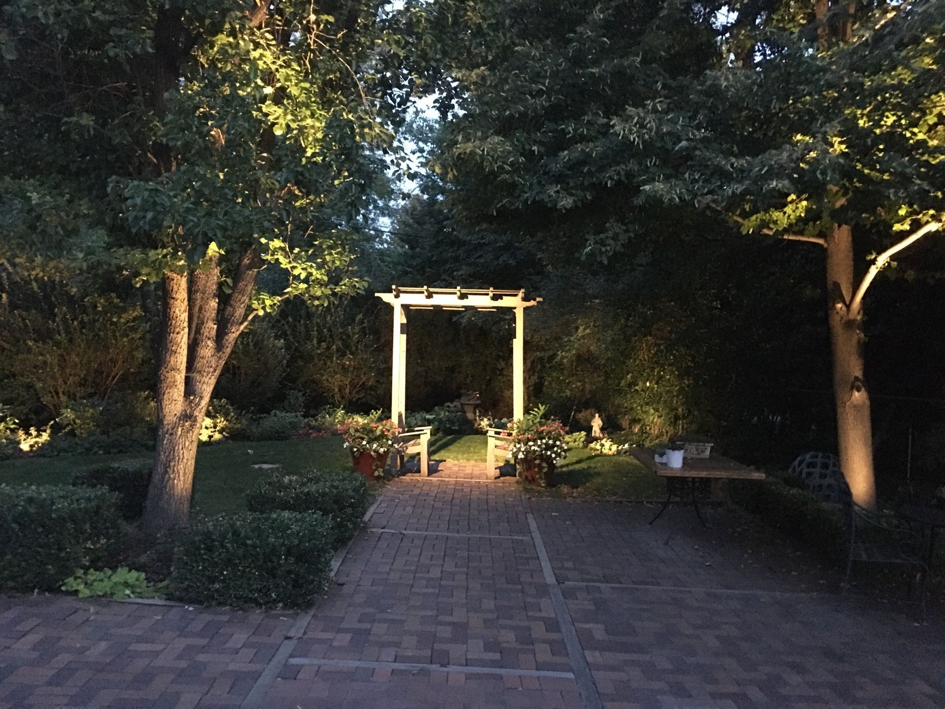 Professional landscape lighting