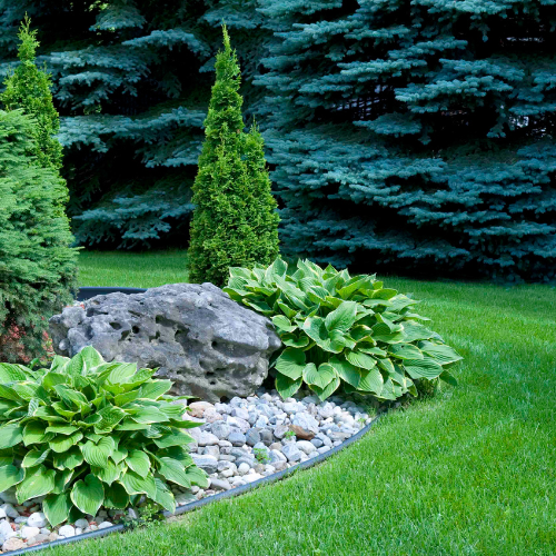New plant installation