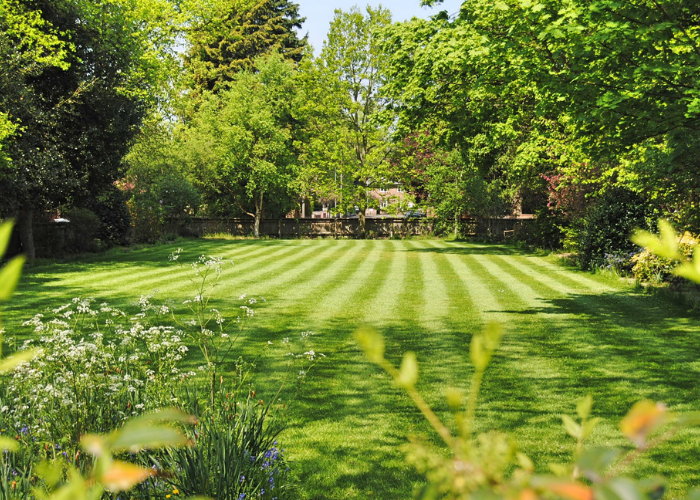 Lawn care in Parker