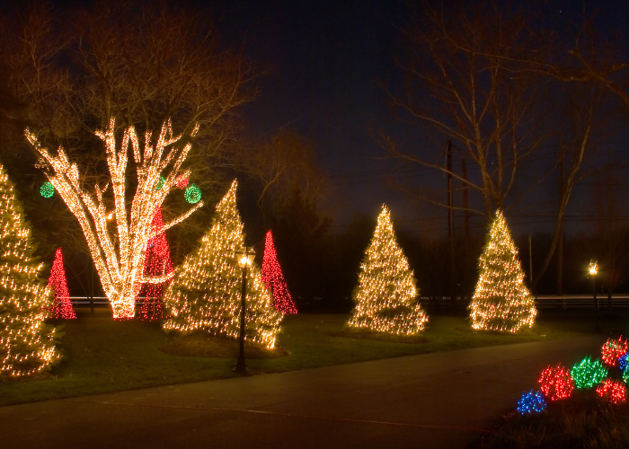 Holiday lighting on trees