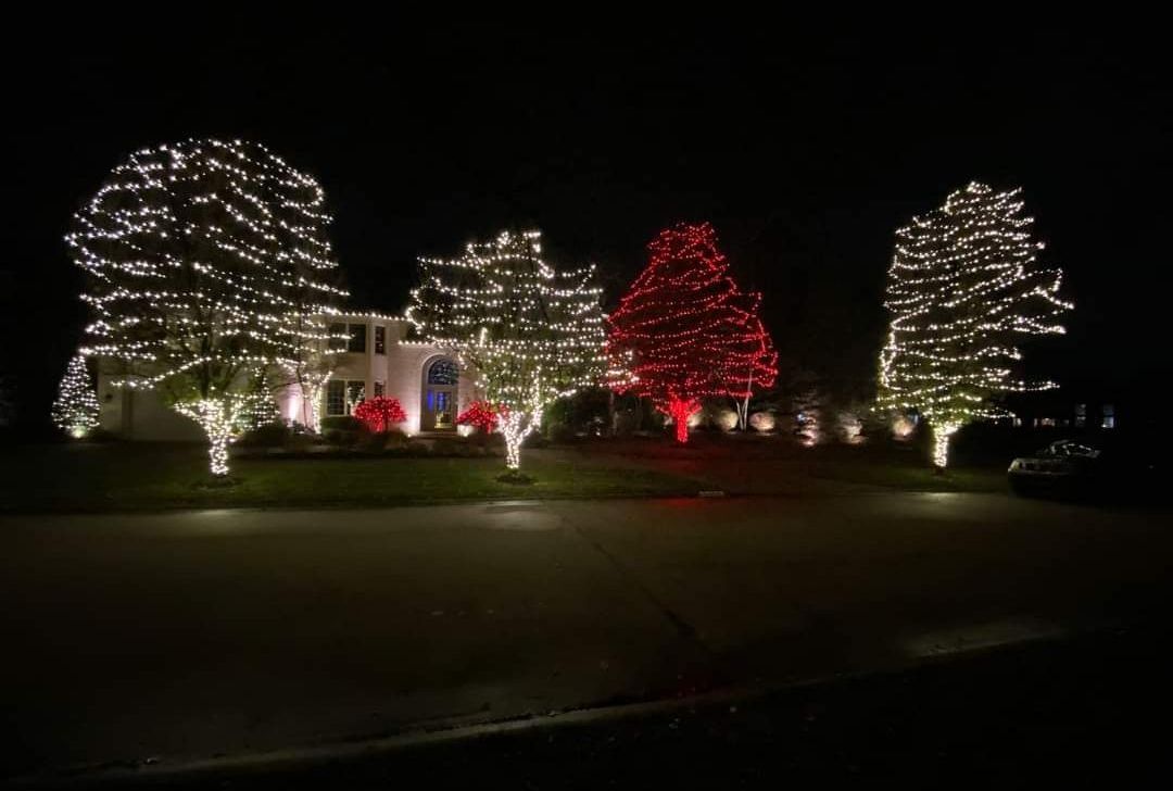 Professional holiday lighting
