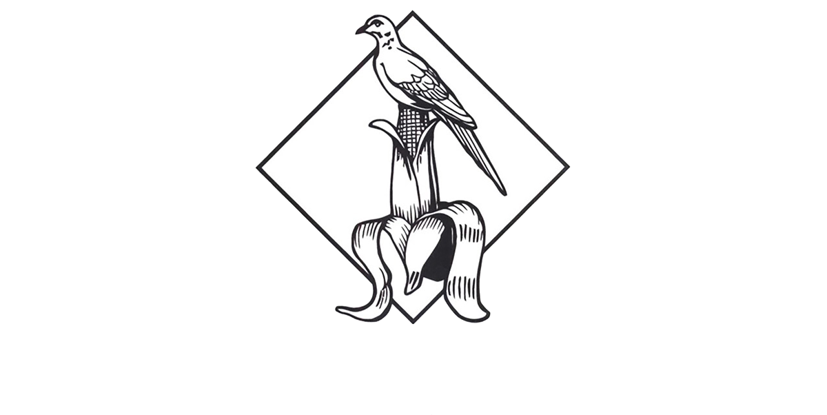 logo-image