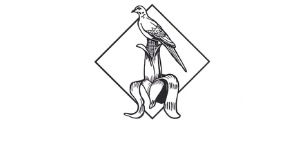 logo-image