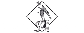 logo-image