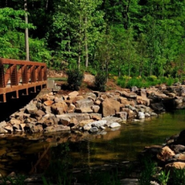 Wooden bridge beside a rocky stream in a lush green forest