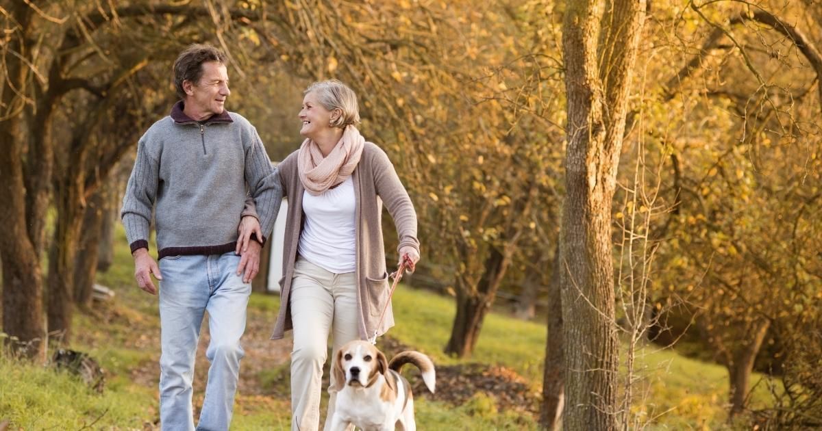 Couple walking with a dog on a path in a park with autumn foliage.