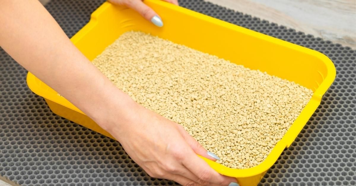 Hands pouring grains into a yellow tray on a textured gray surface