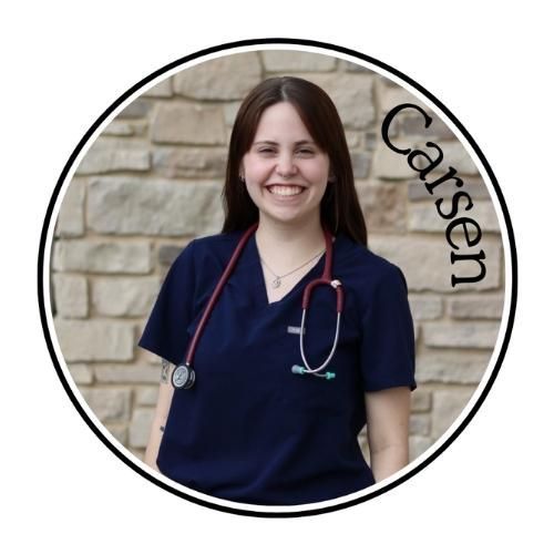Smiling nurse in navy scrubs with stethoscope against a stone wall, framed in a circular portrait labeled “Carisen.”