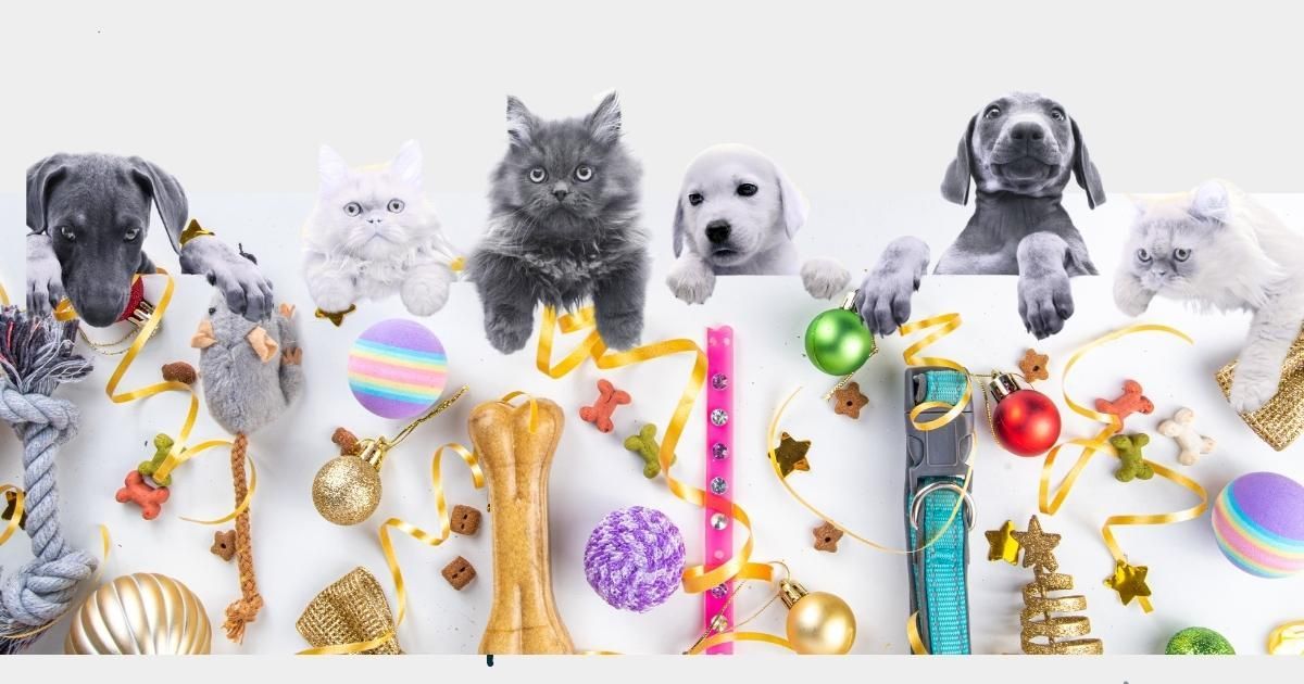 safe holiday treats Cats and dogs of various colors and sizes looking over a line of pet toys and Christmas ornaments.