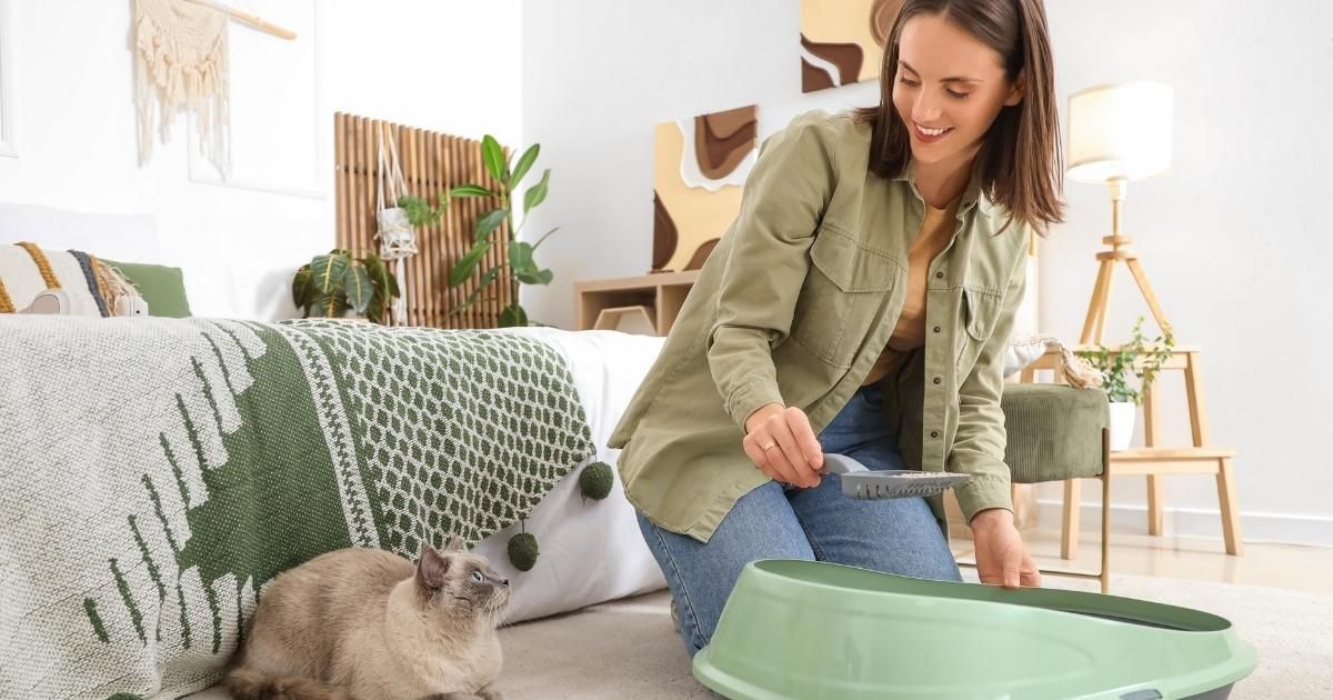 Woman filling a green dog bowl beside a gray dog on a couch in a bright living room