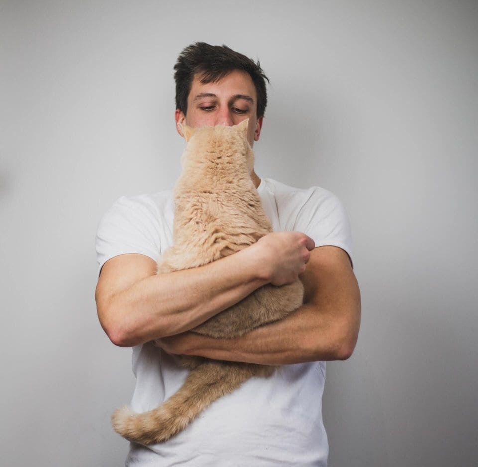 Man hugging a fluffy orange cat in front of a neutral background.