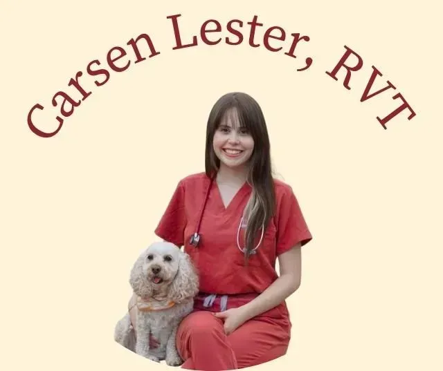 Woman in red scrubs with dog, stethoscope. Carsen Lester, RVT.
