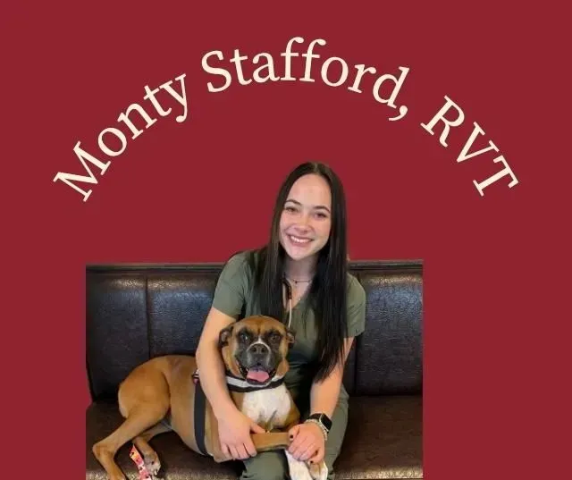 Woman, dog on couch, Monty Stafford, RVT above. Maroon background.