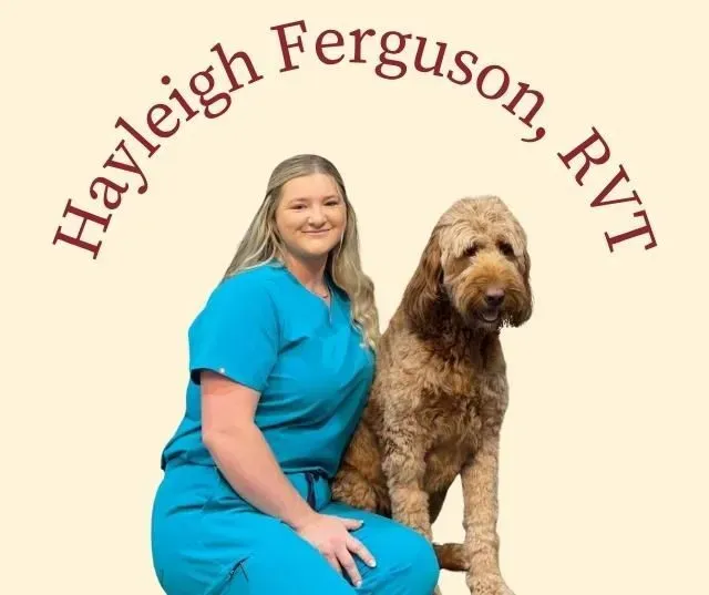 Woman in teal scrubs with a dog,