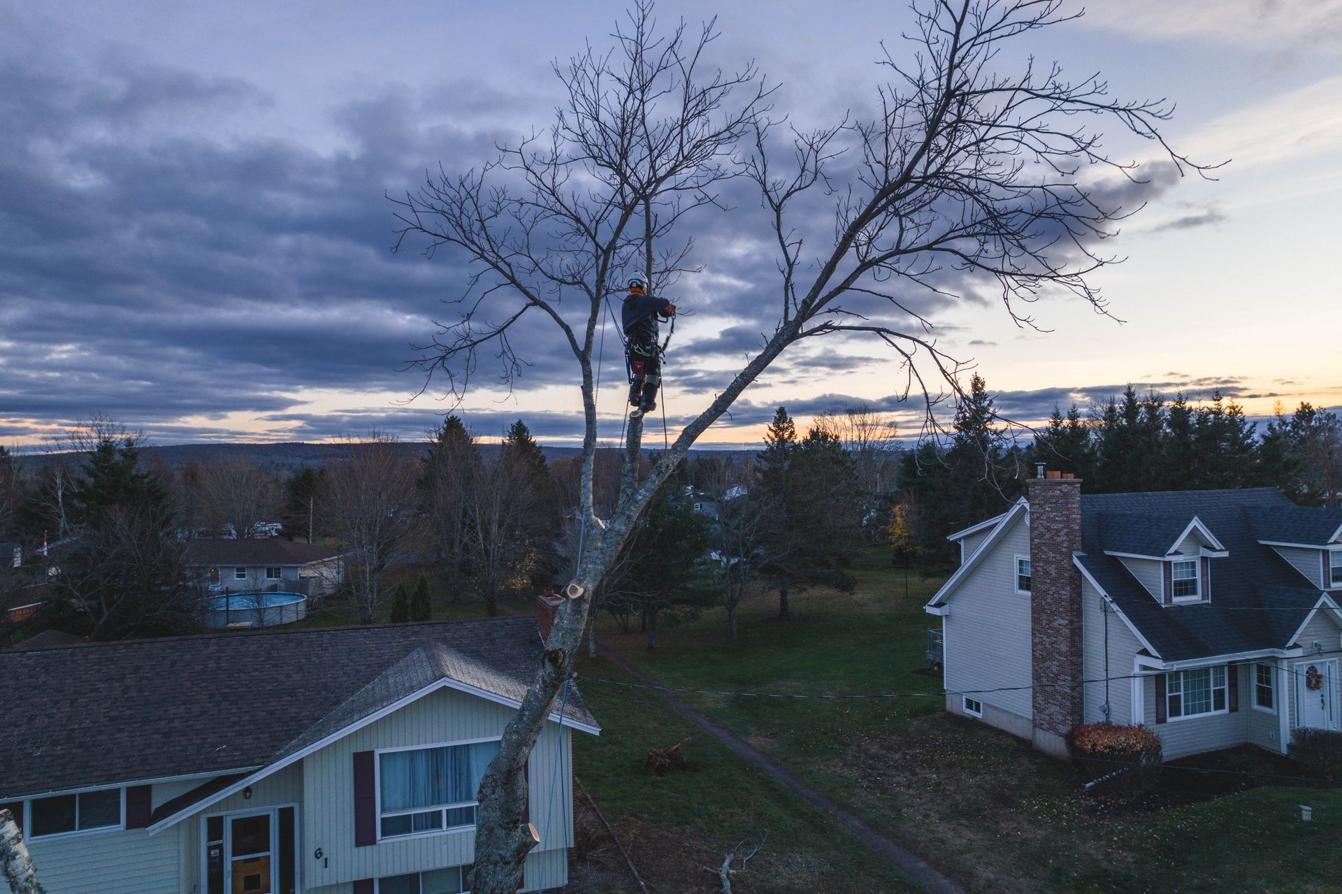 A man is climbing a tree in front of a house.