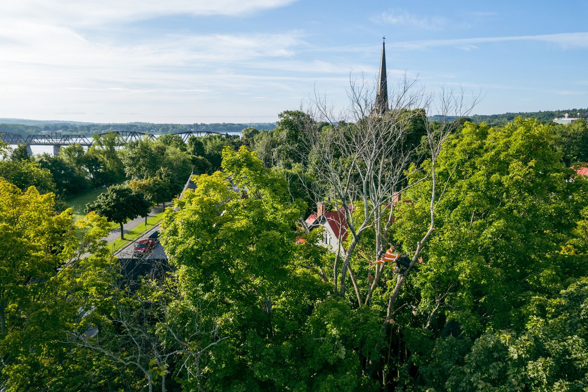 An aerial view of a lush green forest with a church steeple in the background.