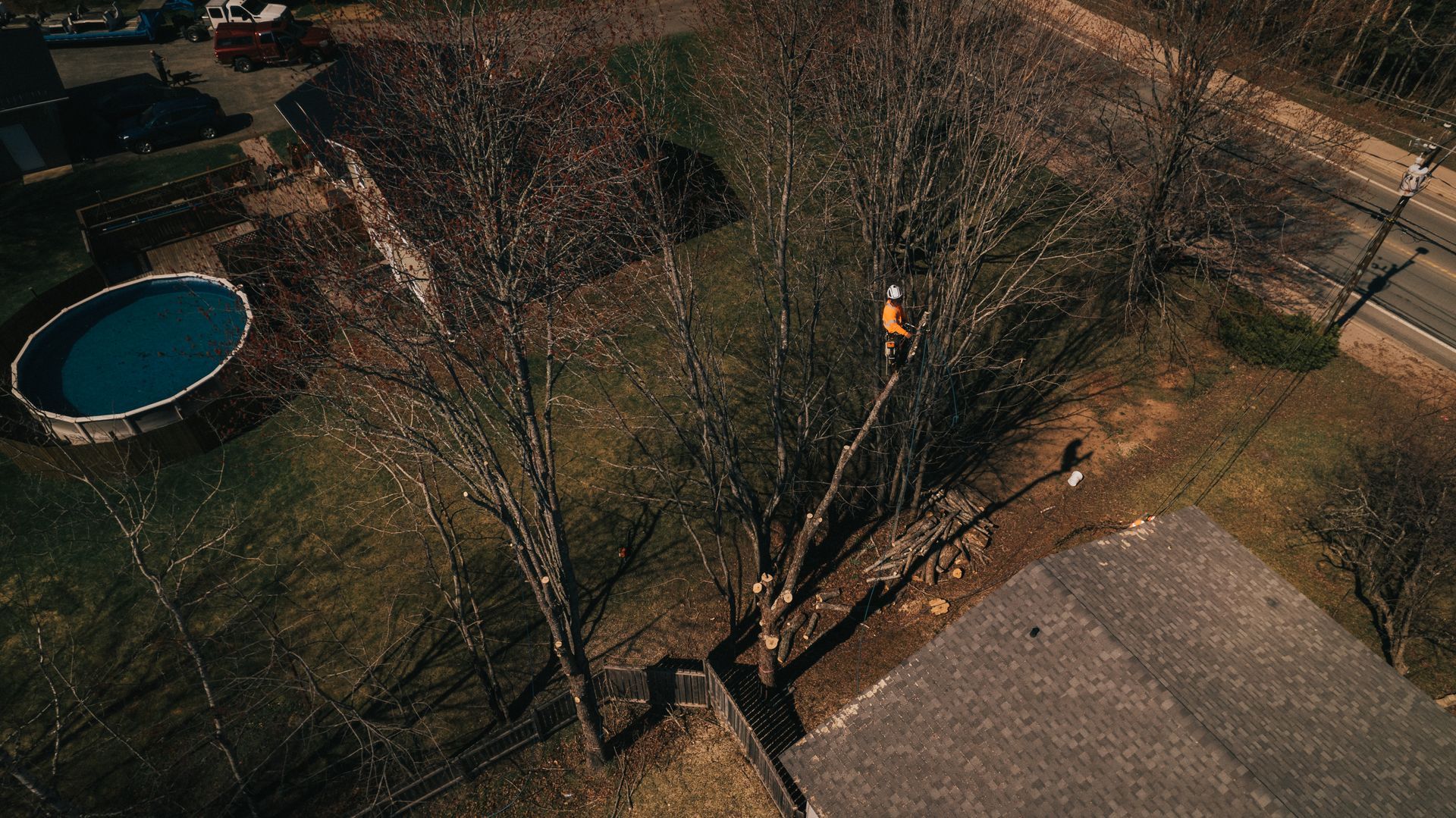 An aerial view of a tree being cut down in a yard.