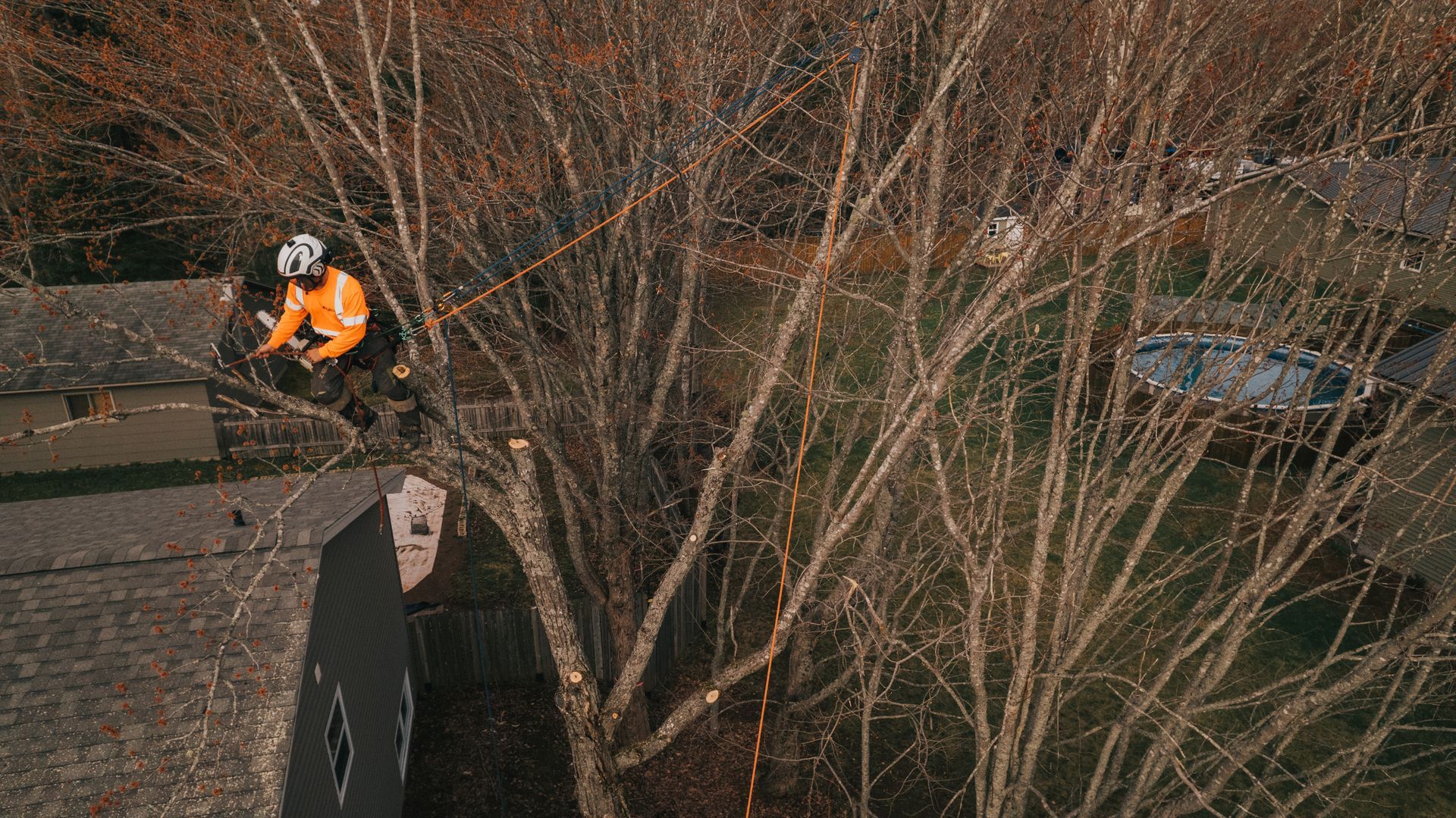 An aerial view of a man sitting on top of a tree.