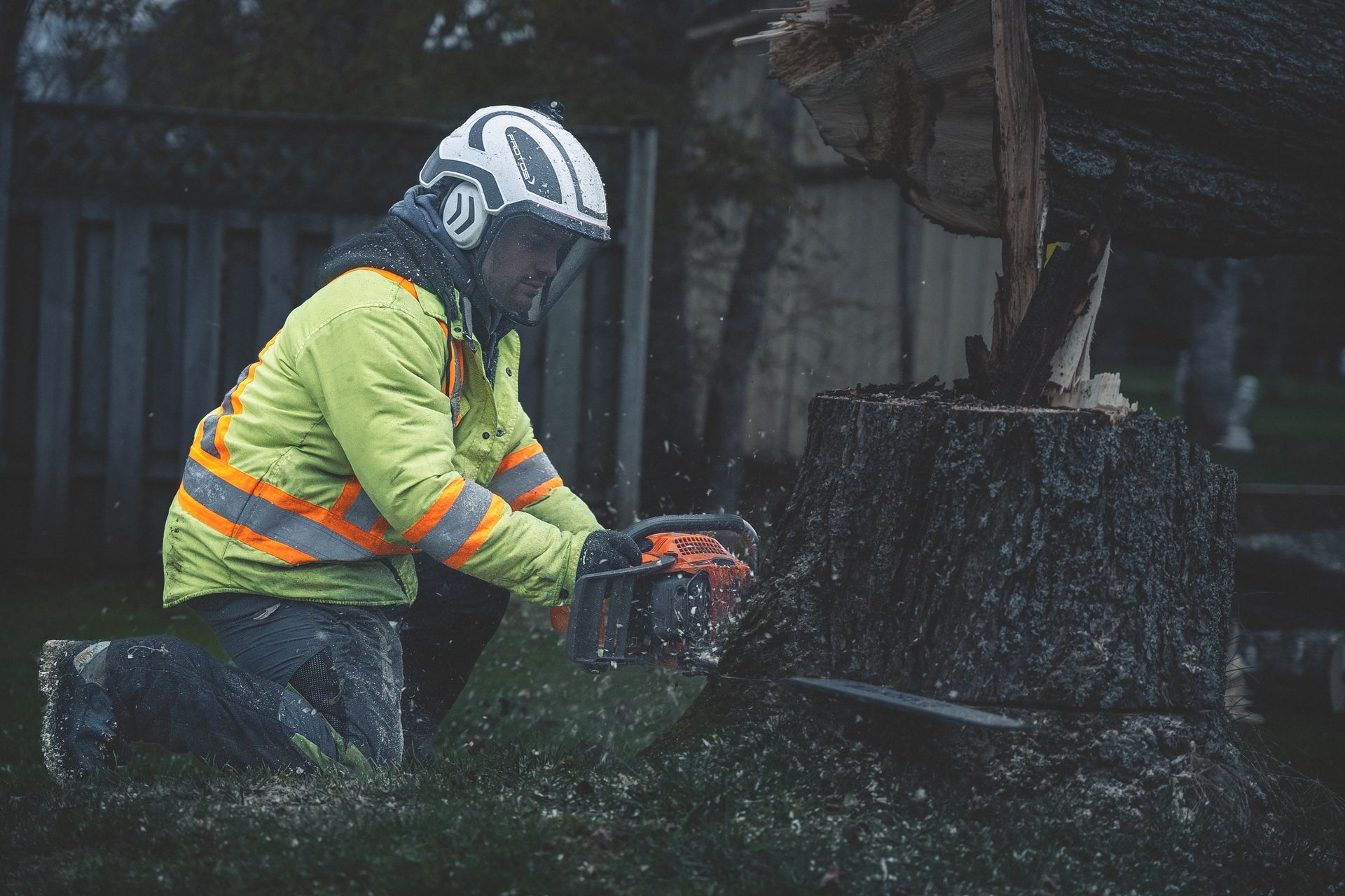 A man is using a chainsaw to cut a tree stump.