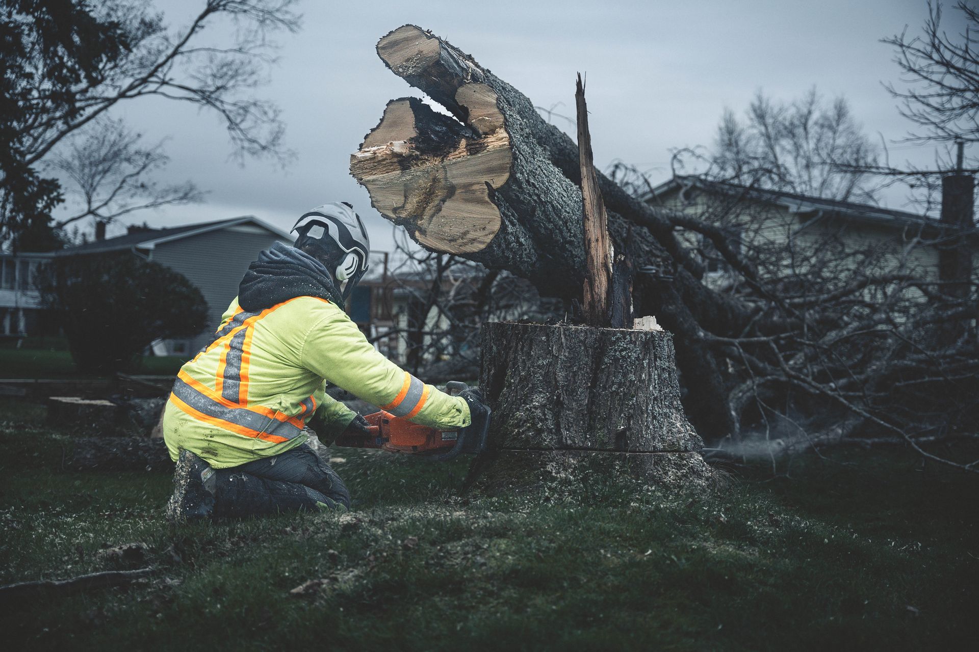 A man is cutting a tree stump with a chainsaw.