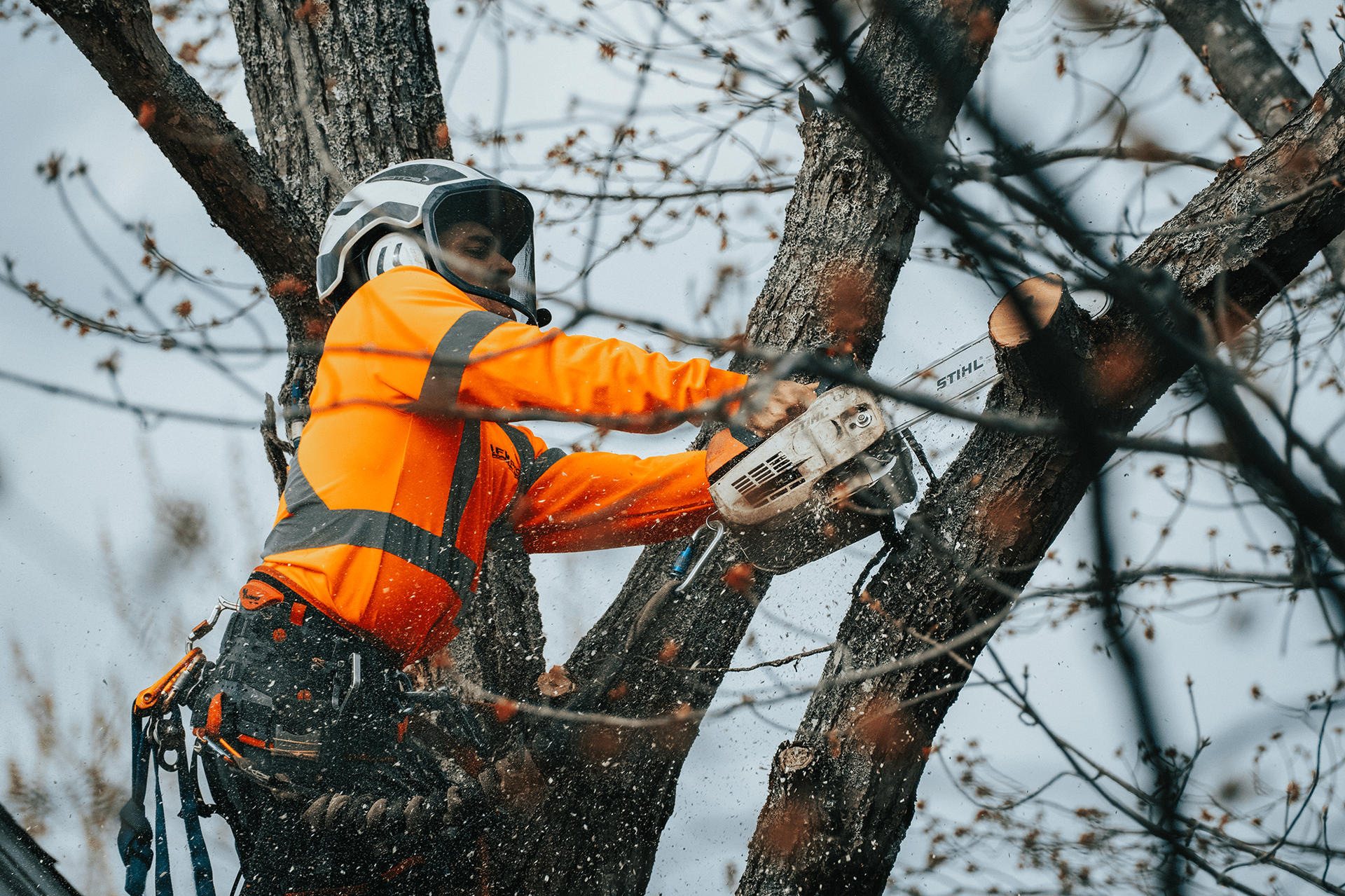 Arborist in orange safety gear using a chainsaw to cut a tree branch.