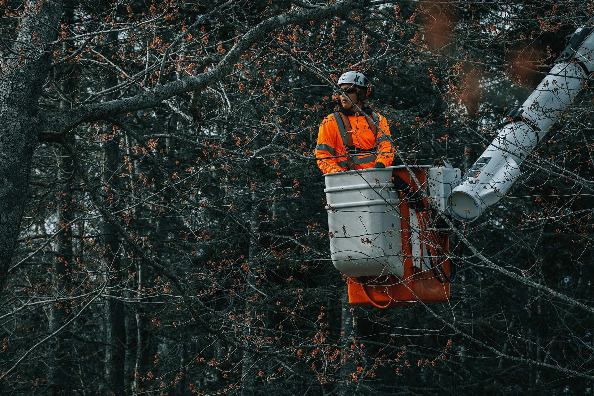 A man is sitting in a bucket in a tree.