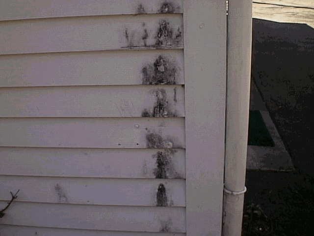A close up of a white siding on a house