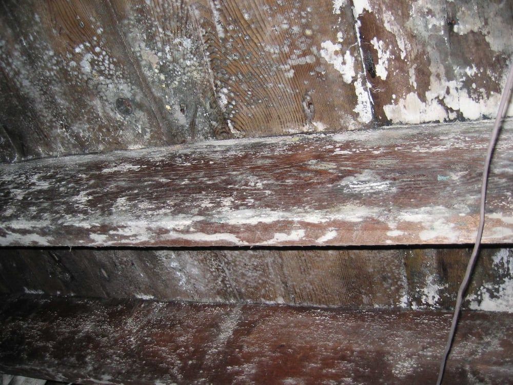 A wooden beam with a lot of white spots on it