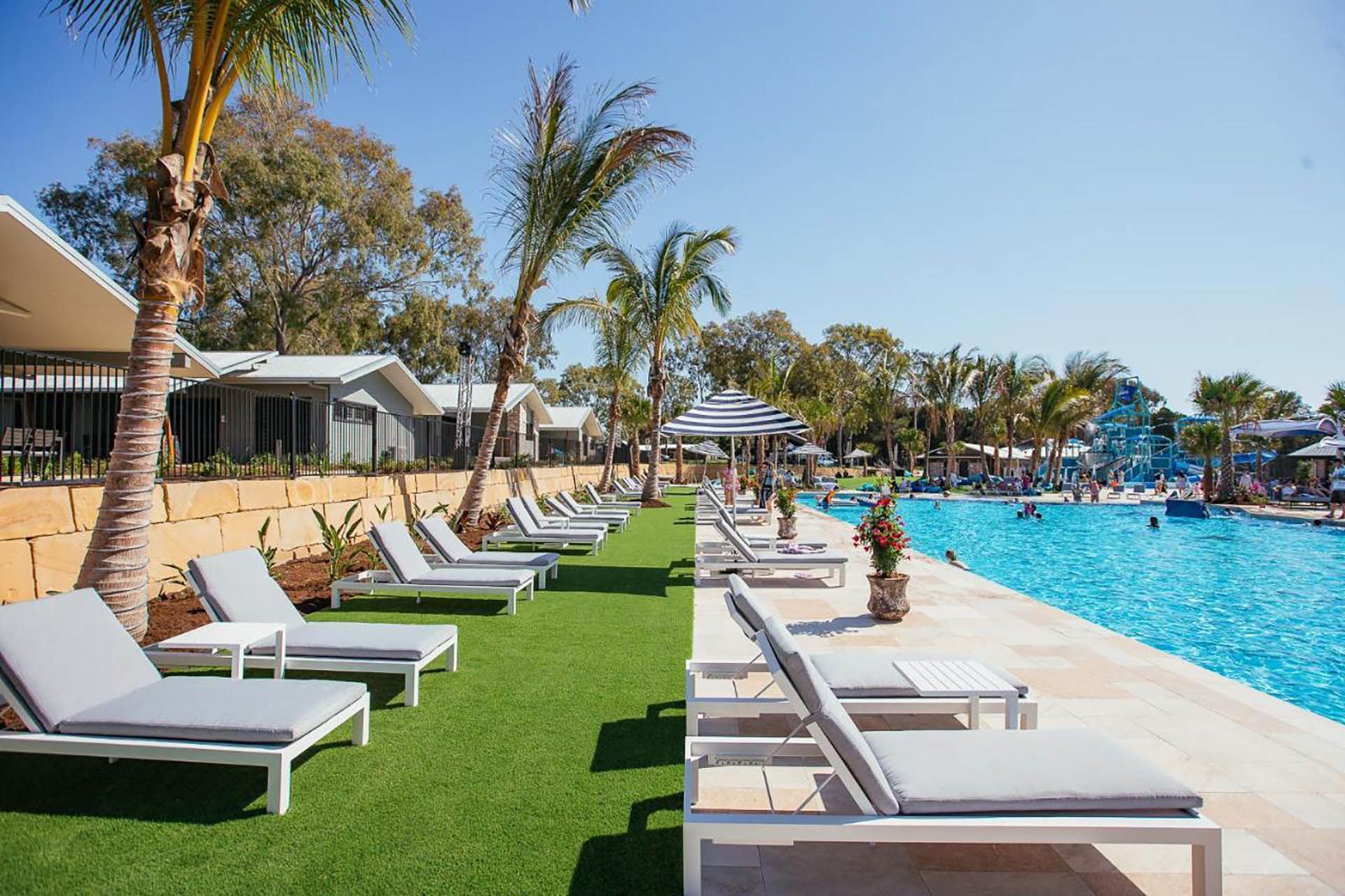 Palm-lined resort pool with white lounge chairs and blue water under a clear sky