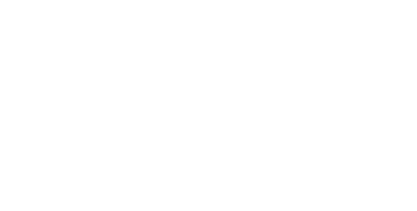 Lionheart Partners
