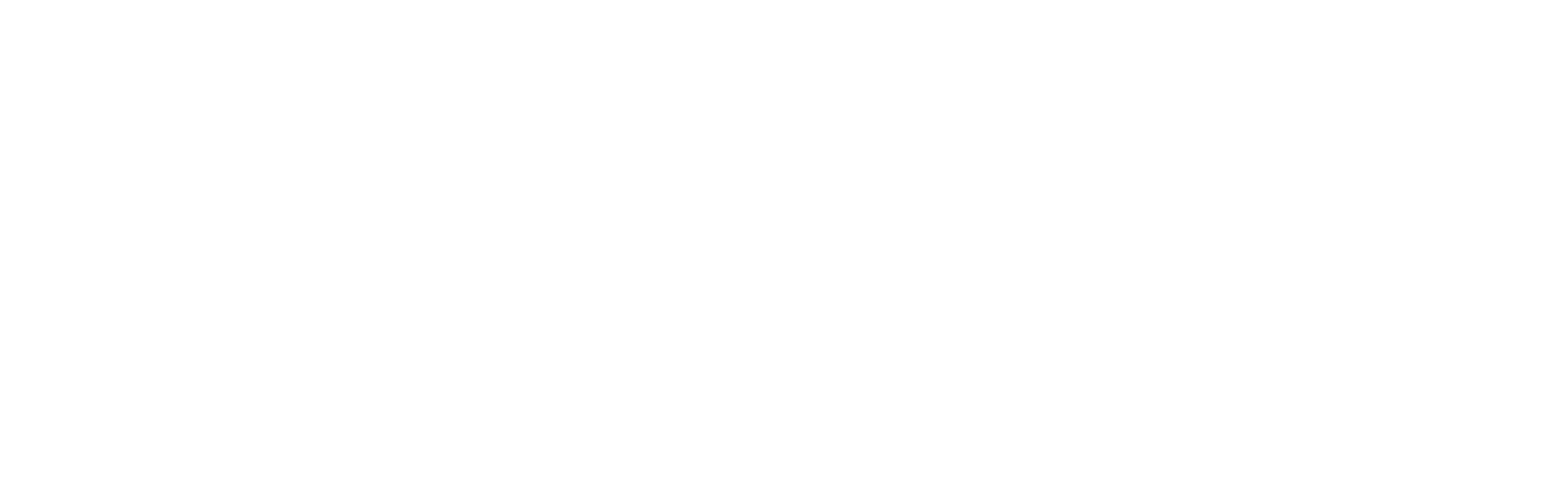 Brent Scarbrough & Company