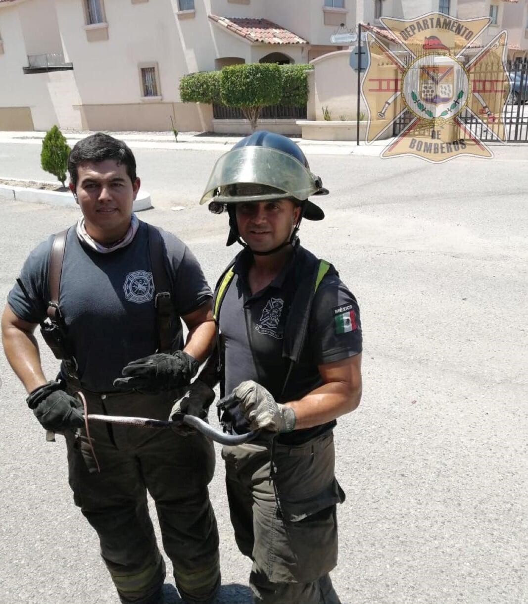 PATRONATO DE BOMBEROS DE HERMOSILLO - Búsquedas y rescates
