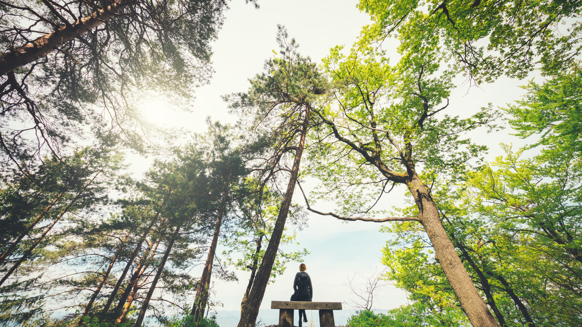Unleashing the Power of Possibility: In Parenting and Business