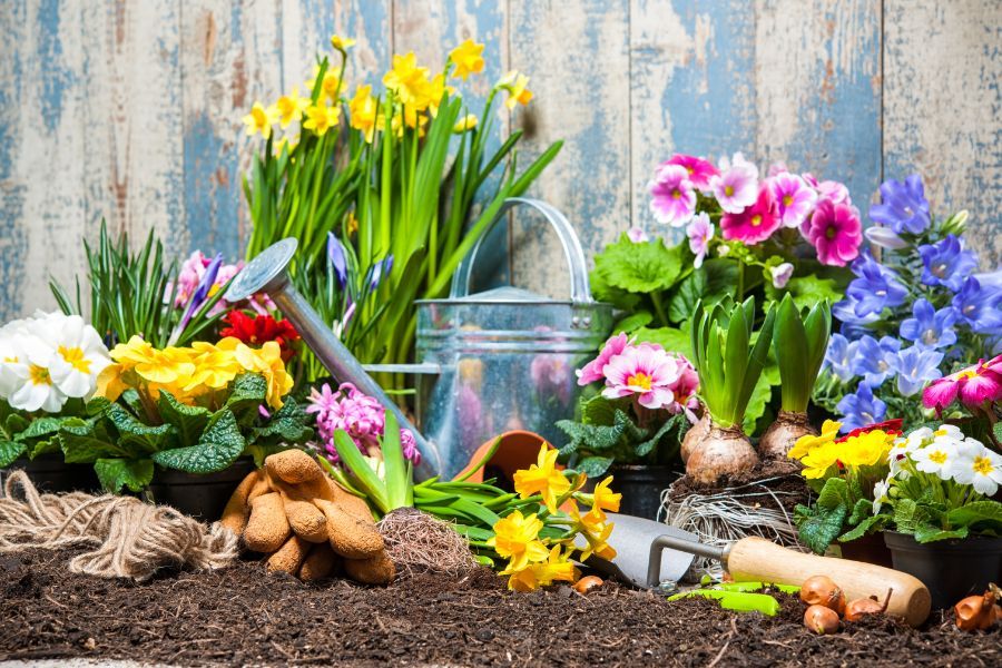 Prodotti per il giardinaggio