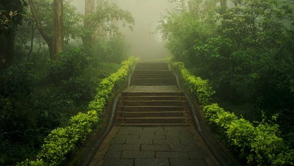 cremation services Morton PA