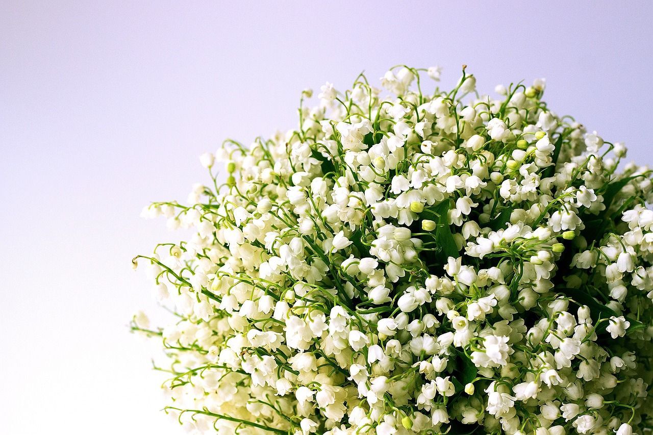 funeral homes in Downingtown, PA