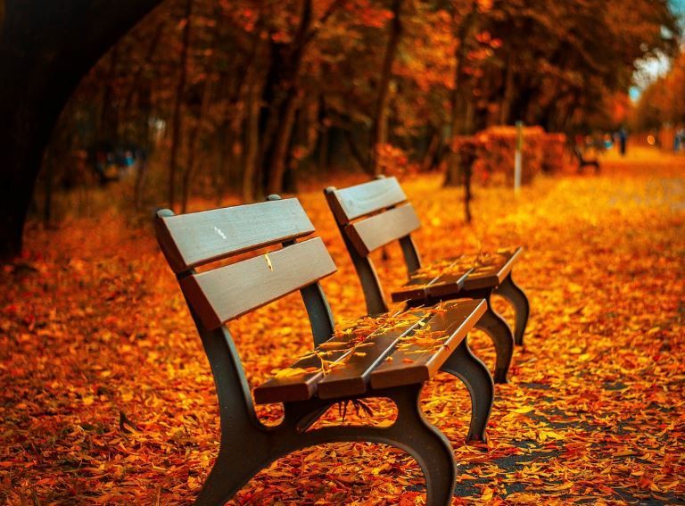 Autumn park benches covered in fallen leaves, memorial bench choice, funeral homes Upper Darby, PA