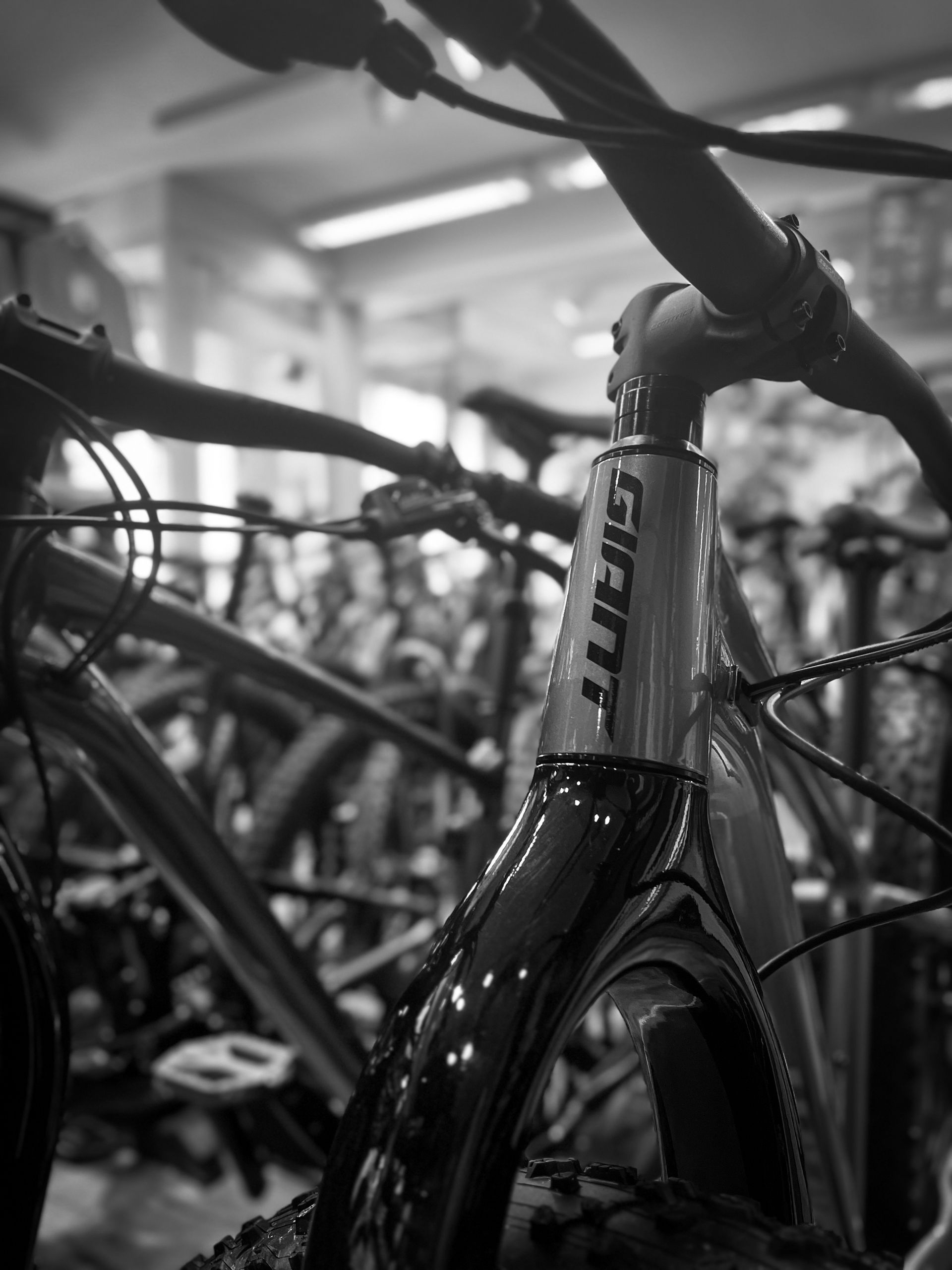 A black and white photo of a giant bicycle in a store