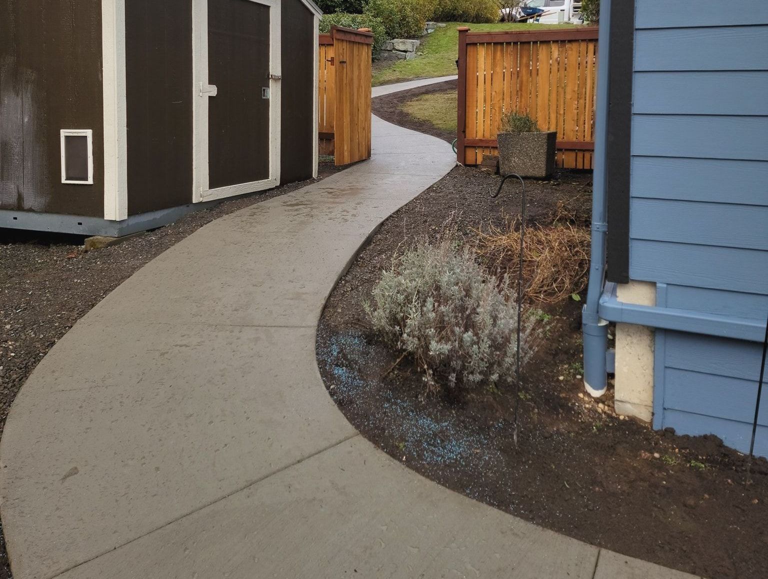 A concrete walkway leading to a shed and a blue house