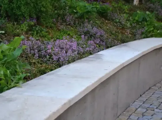 a retaining wall with purple flowers in the background in Bellingham Washington.