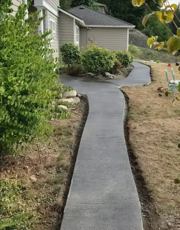 A concrete driveway leading to a house surrounded by trees.