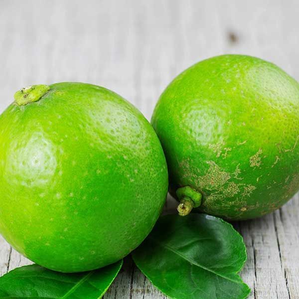 Limes