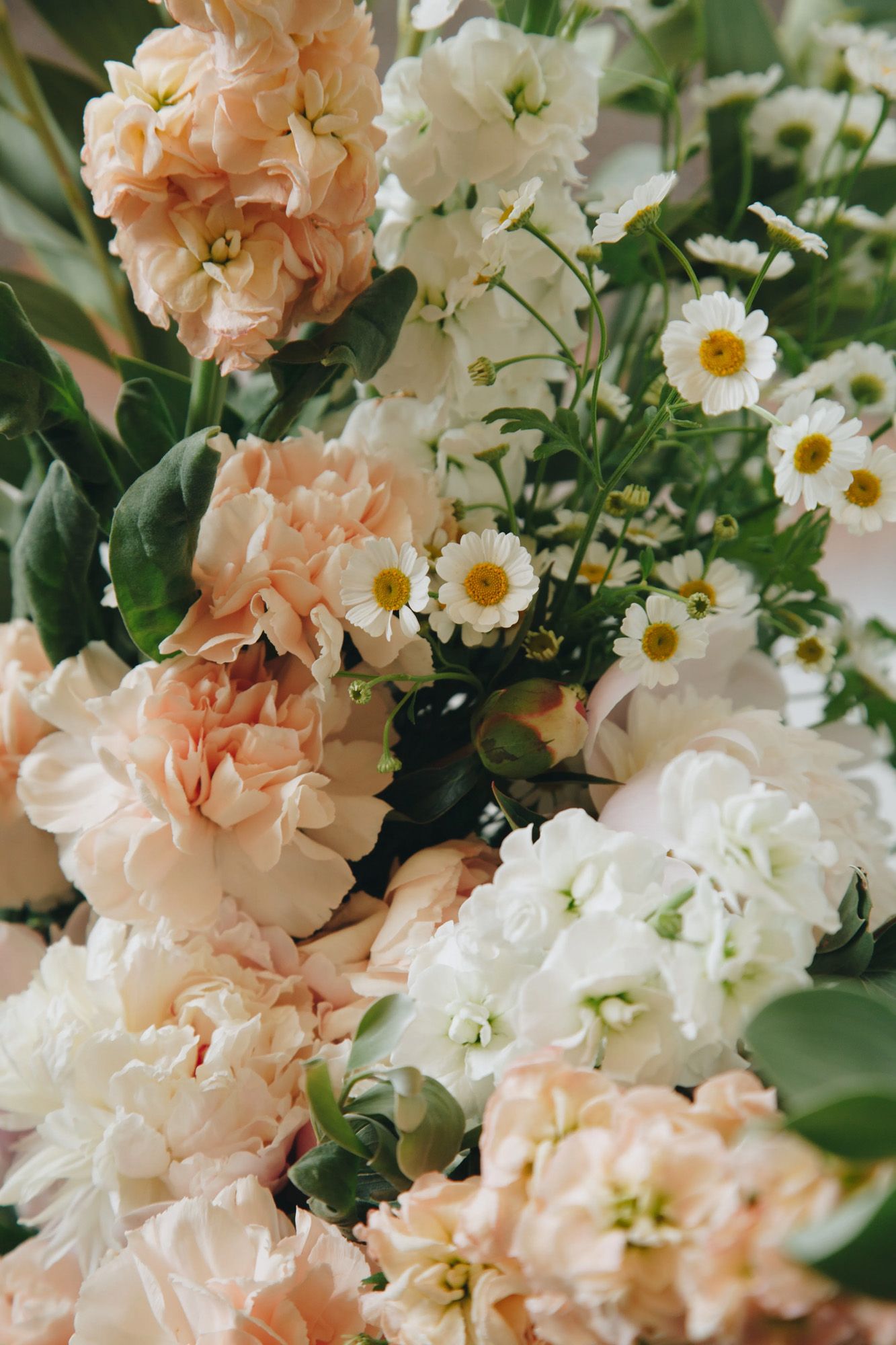 Send Flowers