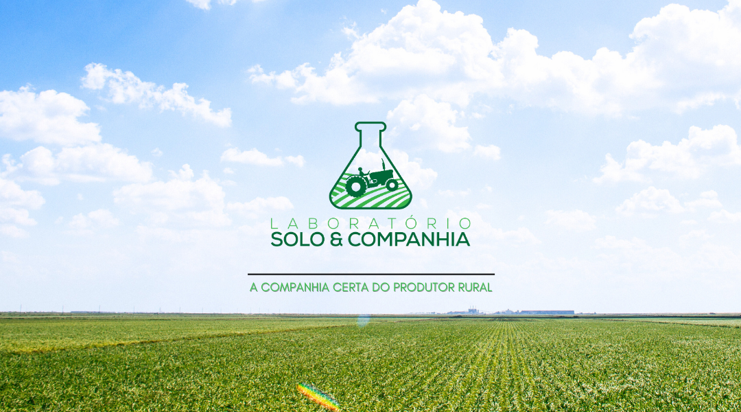 Um campo de grama verde com um copo no meio.
