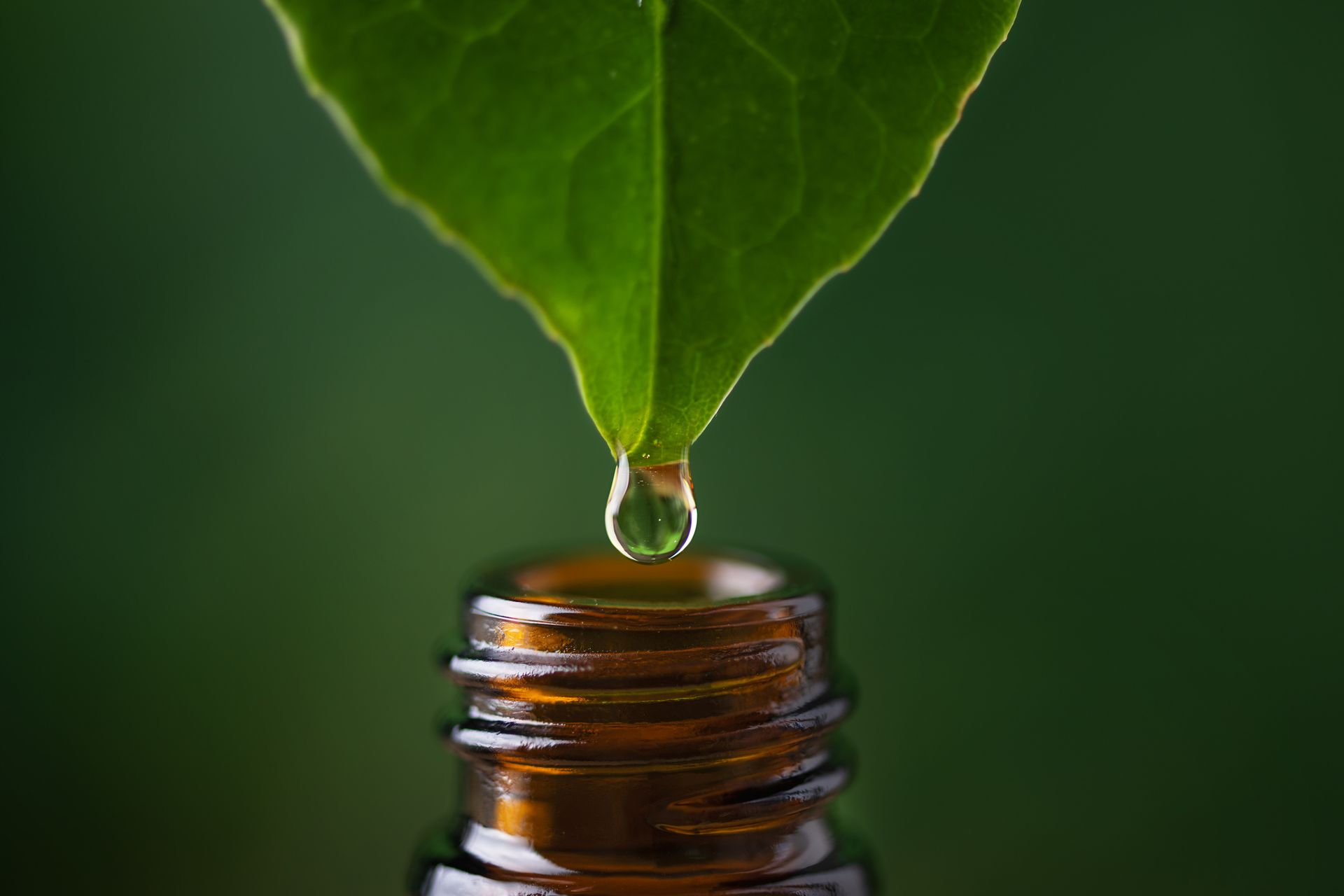 Fitoterapia e Rimedi Naturali